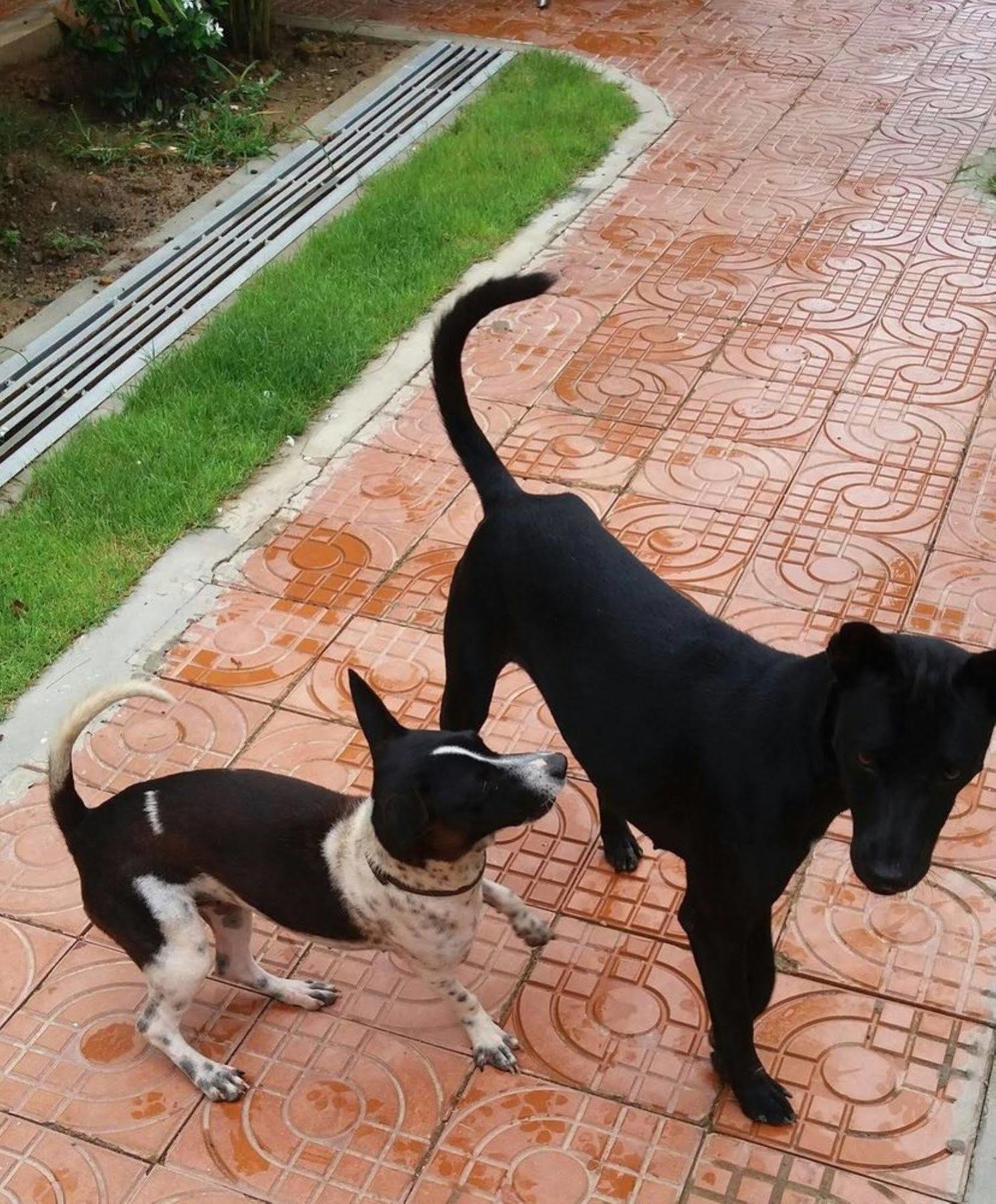 Spayhiti Sihanoukville Kültér fotó